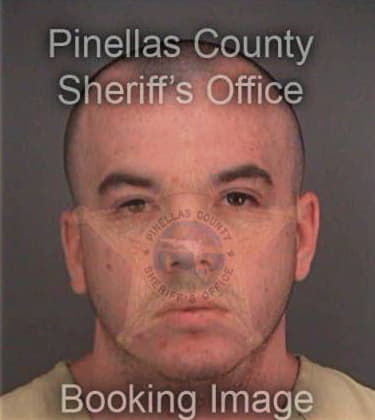 George Enamorado, - Pinellas County, FL 