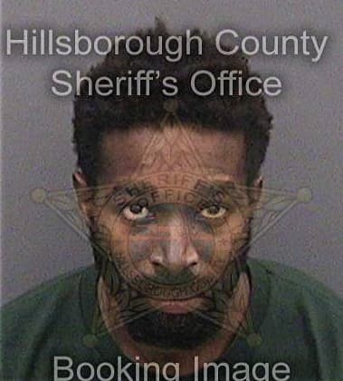 Reginald Johnson, - Hillsborough County, FL 