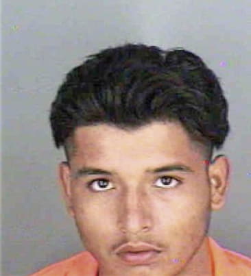 Juan Molina, - Collier County, FL 