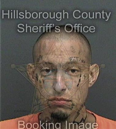 Ryan Oneal, - Hillsborough County, FL 