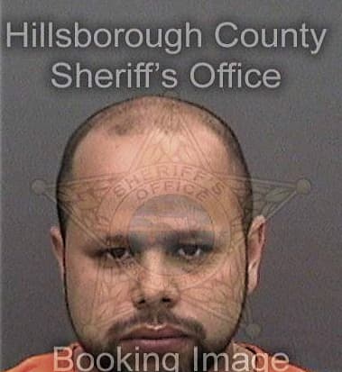 Jesus Pagan, - Hillsborough County, FL 