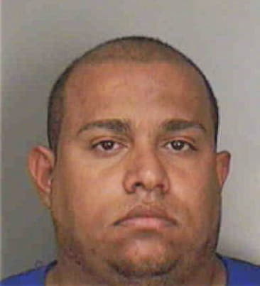 Holvin Santana, - Polk County, FL 