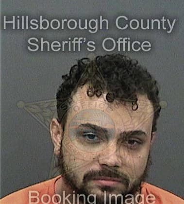 David Hajipour, - Hillsborough County, FL 