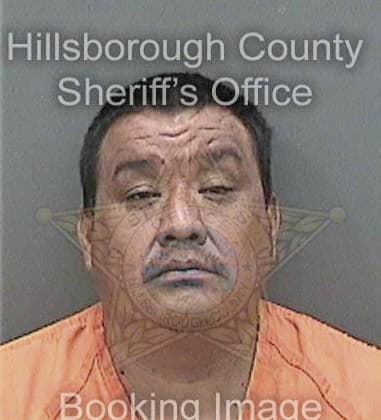 Michael Kinsey, - Hillsborough County, FL 