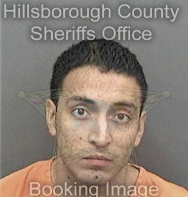 Richard McGiveney - Hillsborough County, FL 