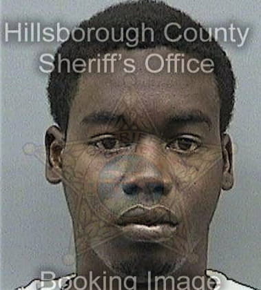 William Middlebrooks - Hillsborough County, FL 