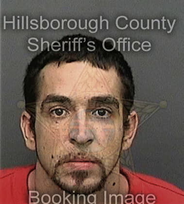 Nicholas Thornton, - Hillsborough County, FL 