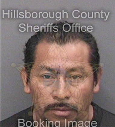 Christian Castillo, - Hillsborough County, FL 