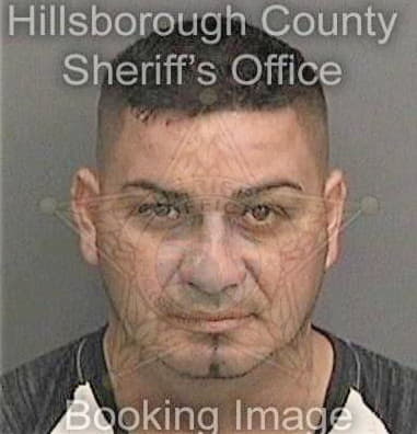 Misael Delvalle, - Hillsborough County, FL 