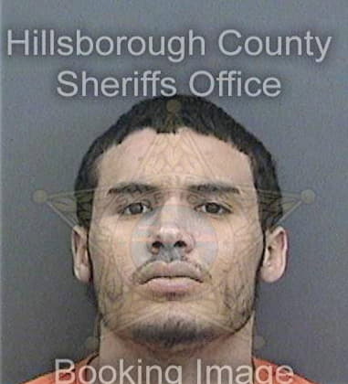 Juan Gomezgarcia, - Hillsborough County, FL 