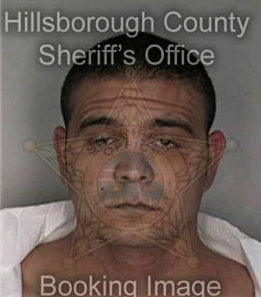 Tyrone Mayhue - Hillsborough County, FL 