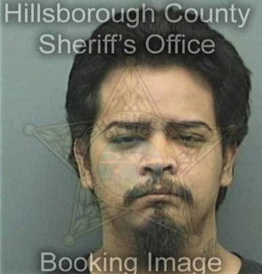 Larry Miller - Hillsborough County, FL 