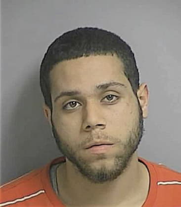 Jose Santiago-Fernandez, - Osceola County, FL 