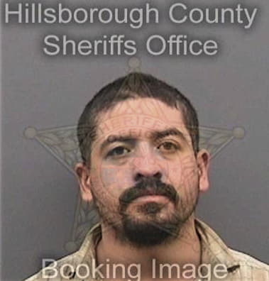 David Stonebrook, - Hillsborough County, FL 