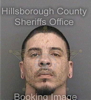 Jarin Torres, - Hillsborough County, FL 