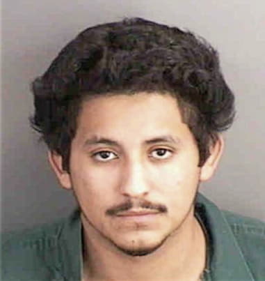 Cesar Figueroa, - Collier County, FL 