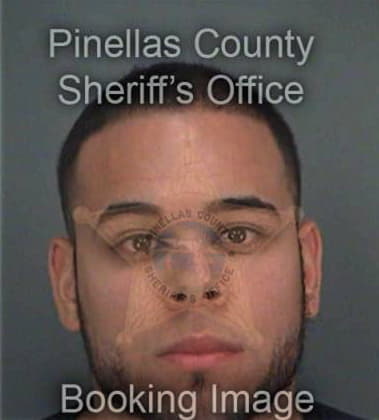 Jaime Martinez, - Pinellas County, FL 