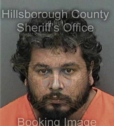 Ronald Wilhelm - Hillsborough County, FL 