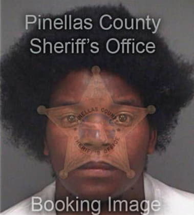 Christopher Banks, - Pinellas County, FL 