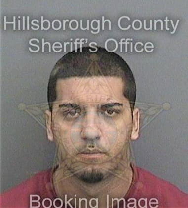 Daniel Brown, - Hillsborough County, FL 