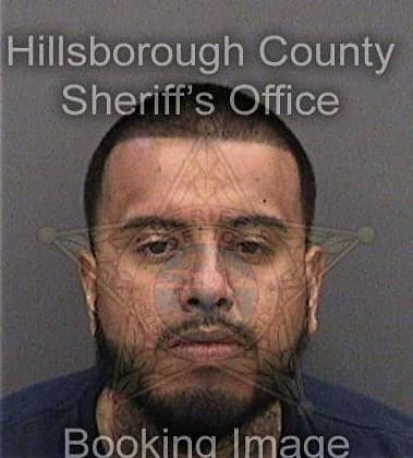 Emmanuel Cepedaescoto, - Hillsborough County, FL 