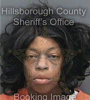 Nigeria Collier - Hillsborough County, FL 