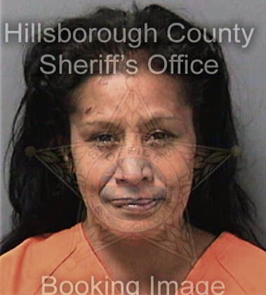 Elke Hamlin, - Hillsborough County, FL 