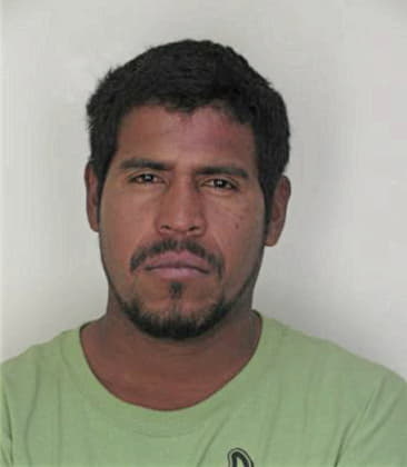 Ambrosio Herrara - Hillsborough County, FL 