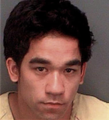 Andres Perezgomez, - Pinellas County, FL 