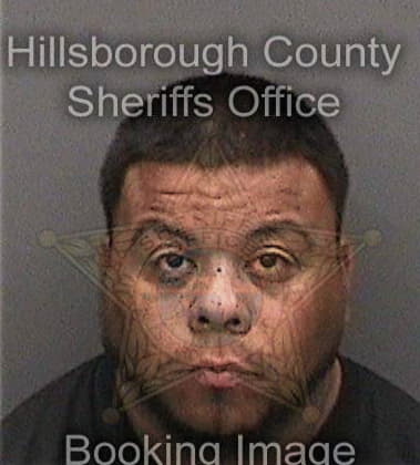 Louis Cappello, - Hillsborough County, FL 