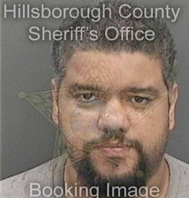 Ramon Figueroa, - Hillsborough County, FL 