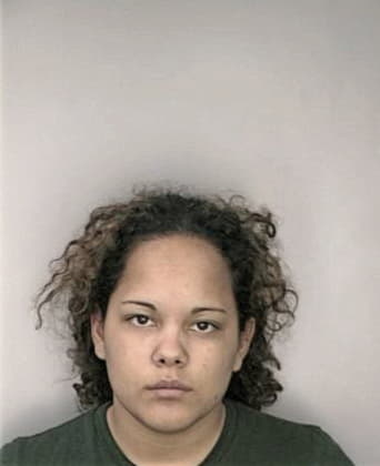 Rafaela Mendez - Hillsborough County, FL 