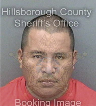 Alfredo Perezacevedo, - Hillsborough County, FL 