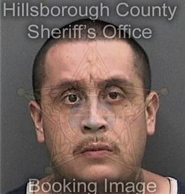 Mathew Brown, - Hillsborough County, FL 