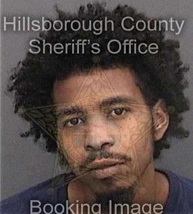 Shaquaille Delaine, - Hillsborough County, FL 