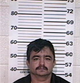 Carlos-Camarillo Garcia, - Hidalgo County, TX 