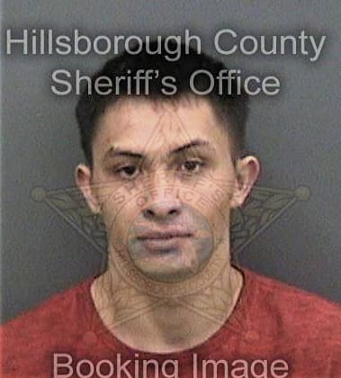 Victor Morfarojas, - Hillsborough County, FL 