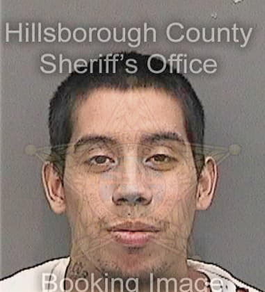 Roger Ocasiocolon, - Hillsborough County, FL 