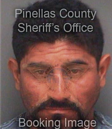 Donatello Olmeda, - Pinellas County, FL 