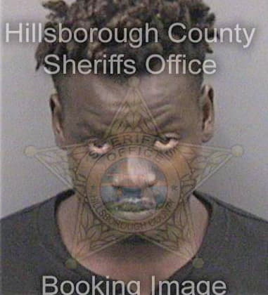 Terron Shine, - Hillsborough County, FL 