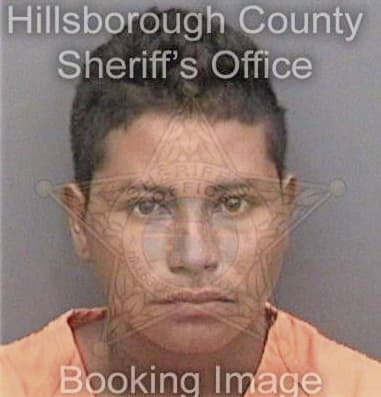 David Stentz, - Hillsborough County, FL 