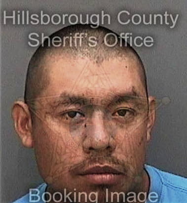 Donald Hatch, - Hillsborough County, FL 