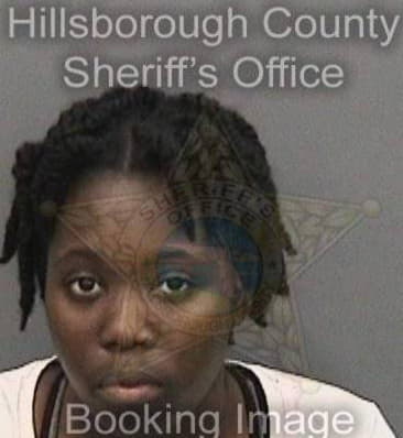 Tina Joyce, - Hillsborough County, FL 