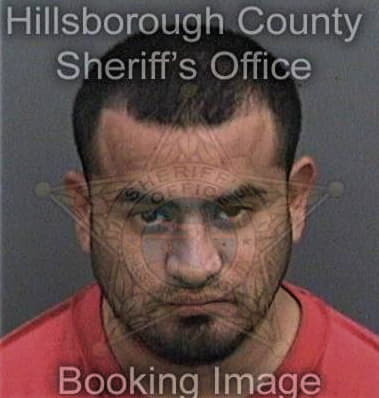 Christopher Martin, - Hillsborough County, FL 