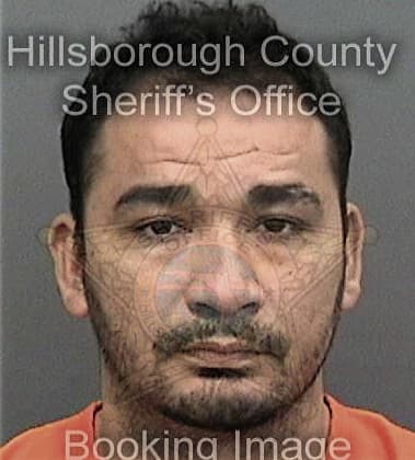 William Tindale, - Hillsborough County, FL 