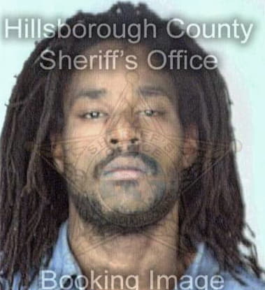 Desnik Williams - Hillsborough County, FL 