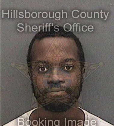 Jefrey Williams, - Hillsborough County, FL 