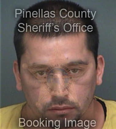 Joni Zunigamedrano, - Pinellas County, FL 