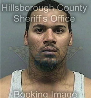 Hervin Alzate, - Hillsborough County, FL 