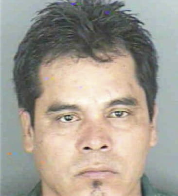 Jesus Deltoro, - Collier County, FL 